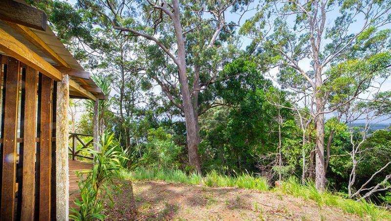 Binna Burra Mountain Lodge Gold Coast Eksteriør billede